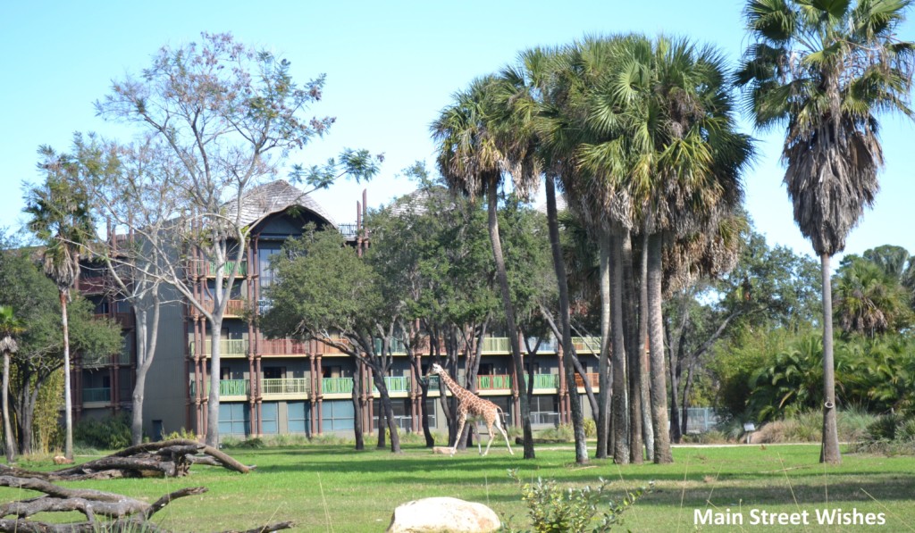 Animal Kingdom Lodge