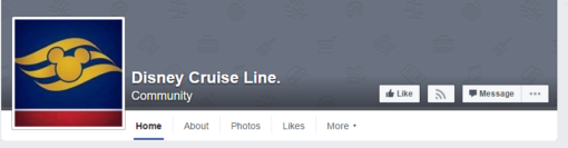 Disney Cruise Line Fake Account